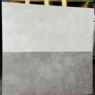Gạch ốp lát granite 40x80 SH3GM4802