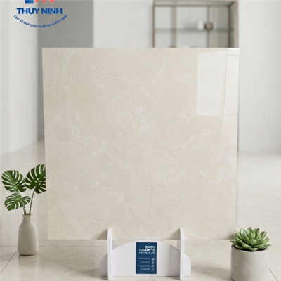 Gạch ốp lát Viglacera kích thước 80x80cm SH9-GP8802